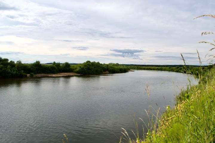 a body of water surrounded by trees