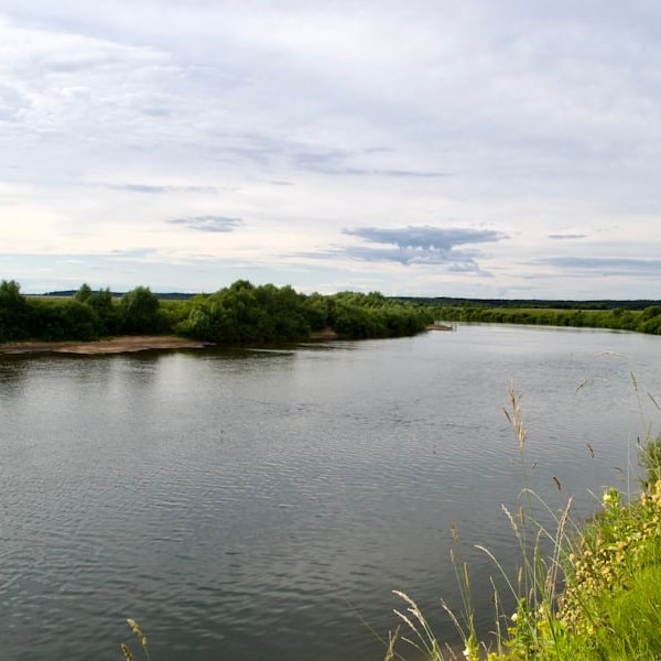 a body of water surrounded by trees