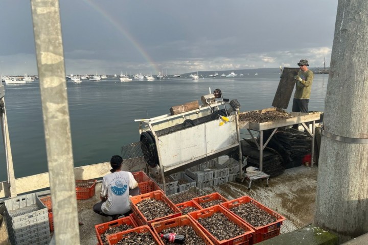 a boat sitting next to a body of water