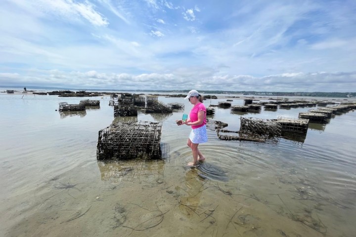 a person standing next to a body of water