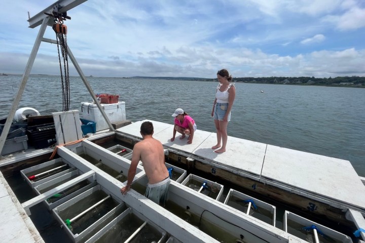 a person standing on a dock next to a body of water