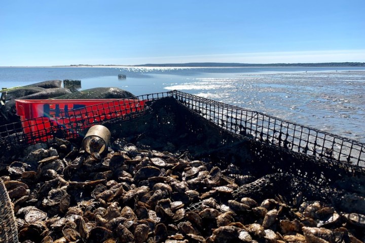 a rocky beach next to a body of water