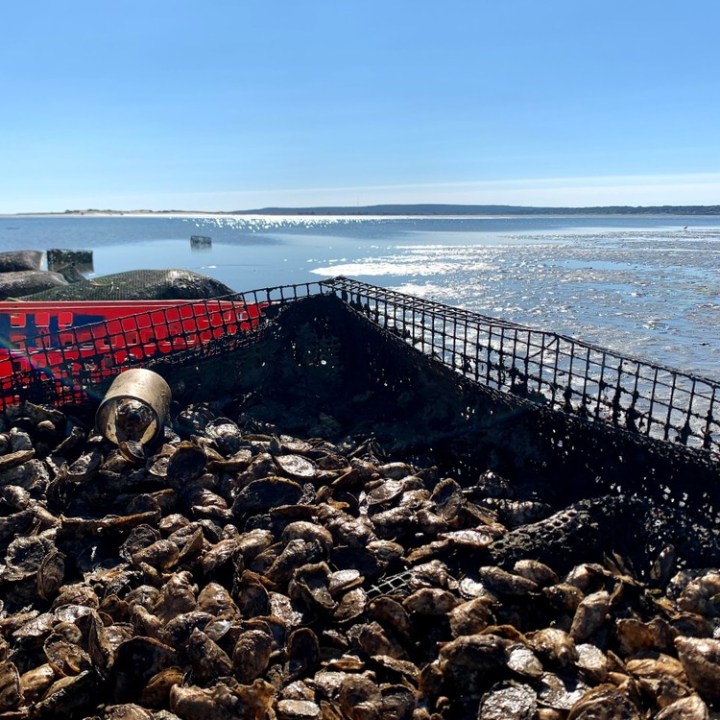 a rocky beach next to a body of water