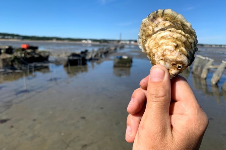 a hand holding a water bottle on a beach