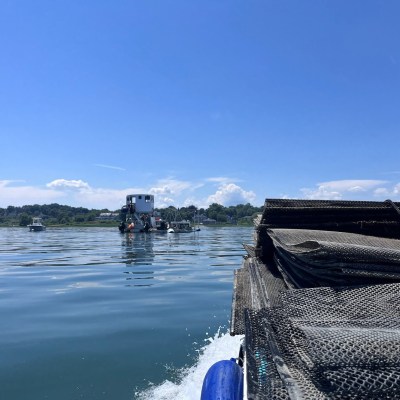 a boat on a body of water