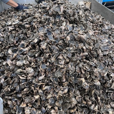 a person standing in front of a large rock